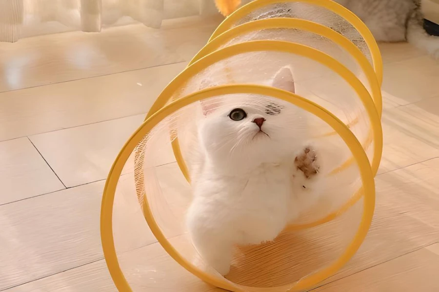 Portable Cat Play Tunnel